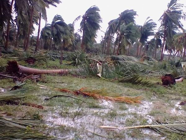 Help Us Provide Relief To People Stuck In Cyclone Gaja Milaap 10,000,000 rupees donation by captain vijayakanth for gaja cyclone relief | chiyaan vikram.