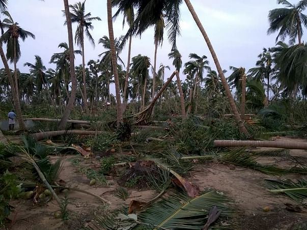 Rebuild Aayakaranpulam/Panchanathikulam Villages After Cyclone Gaja