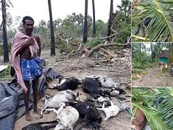 Disaster Rehabilitation Help