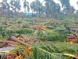 Help Gaja Cyclone Victims Recover