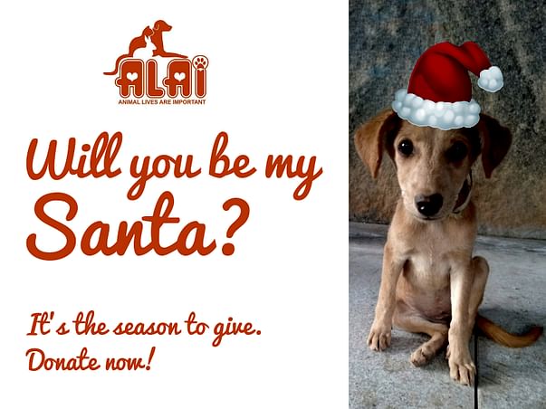 Be the Santa for ALAI Rescues!