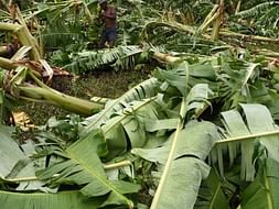 Gaja Cyclone- Help Us to Save Nagapatanam
