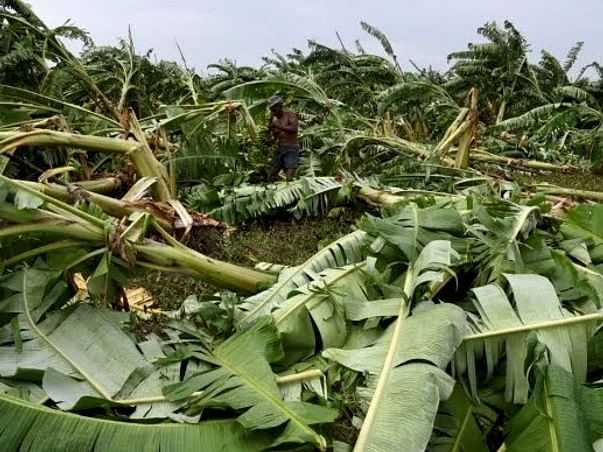 Gaja Storm Disaster Fund Relief