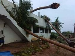Cyclone Gaja Relief - Thirutharaipoondi (Thiruvarur)