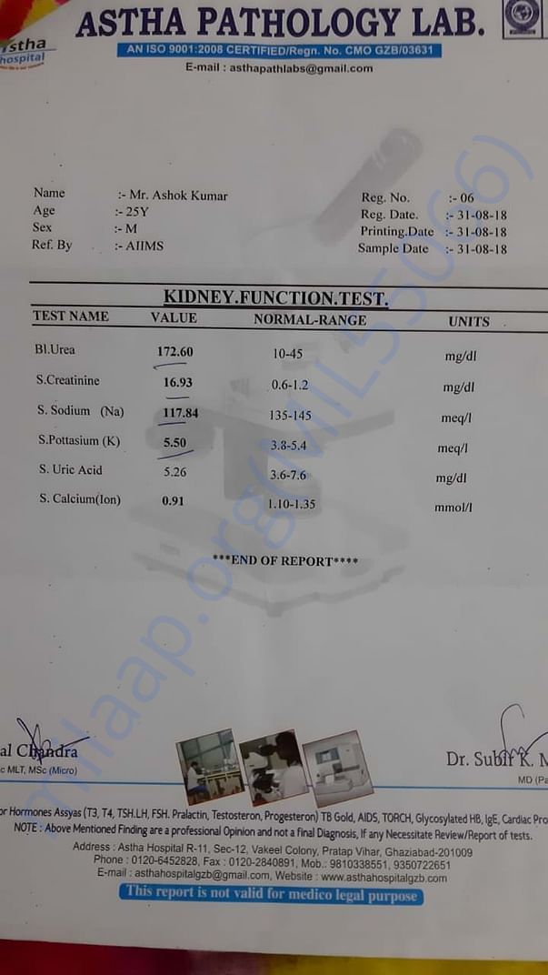 Kidney Function Test Report