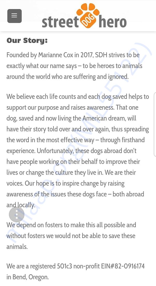 Bio of the rescue group "Street Dog Hero"