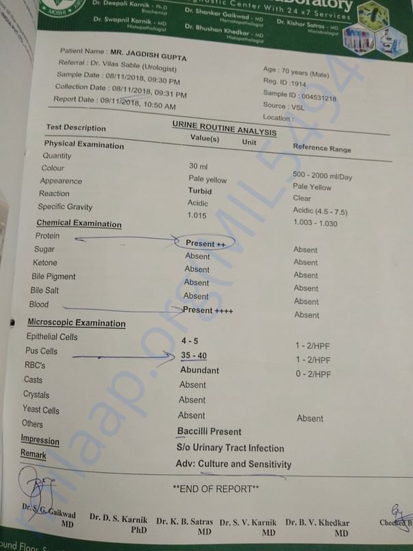 Urine report