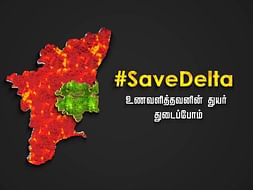 Delta Region Relief Fund- Coverage of 250 Families