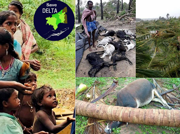 Save Delta- Cyclone Gaja |கரம் சேர்ப்போம்! டெல்டாவை மீட்டெடுப்போம்!