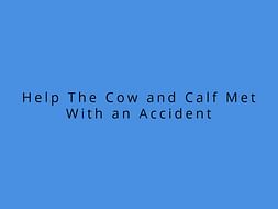 Help The Cow and Calf Met With an Accident
