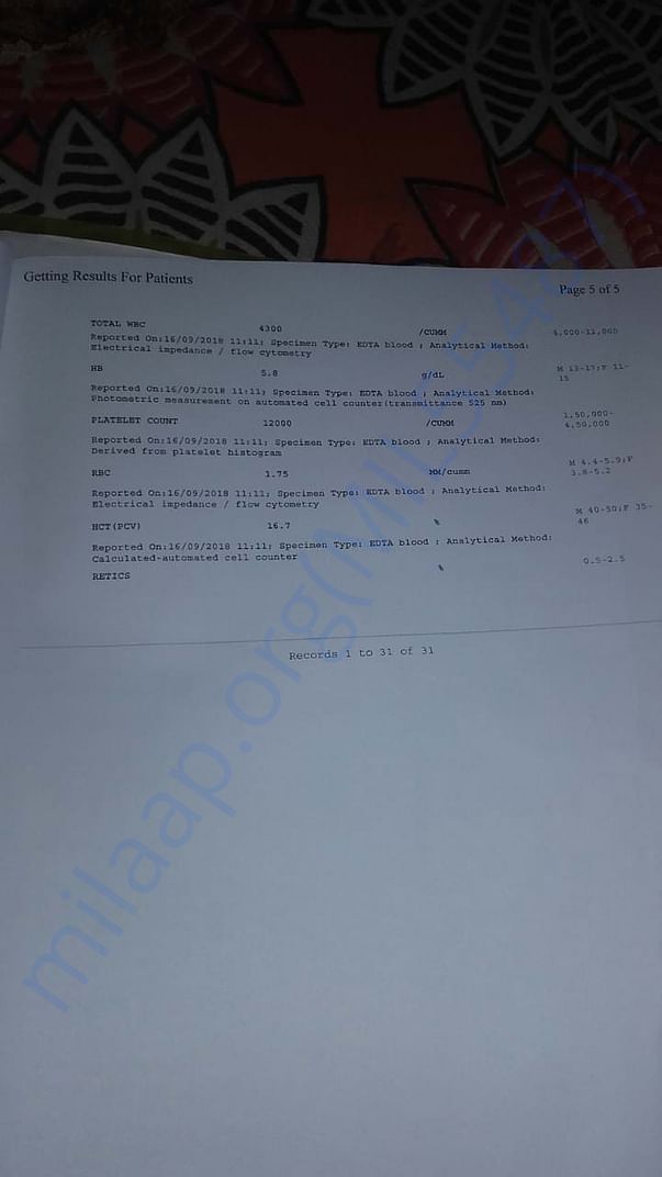 Test Report Contd.