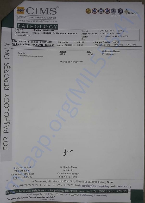 Ferrieten Report