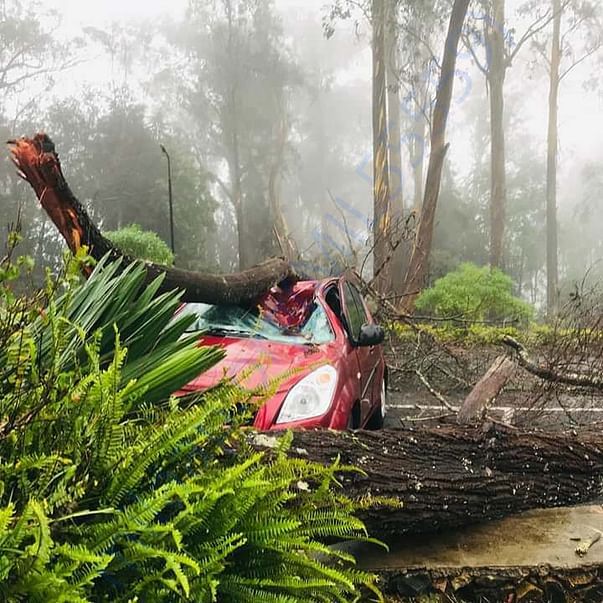 A car which was destroyed and laid to death of 1 by Gaja cyclone
