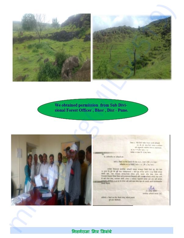 About Green Hivare 5