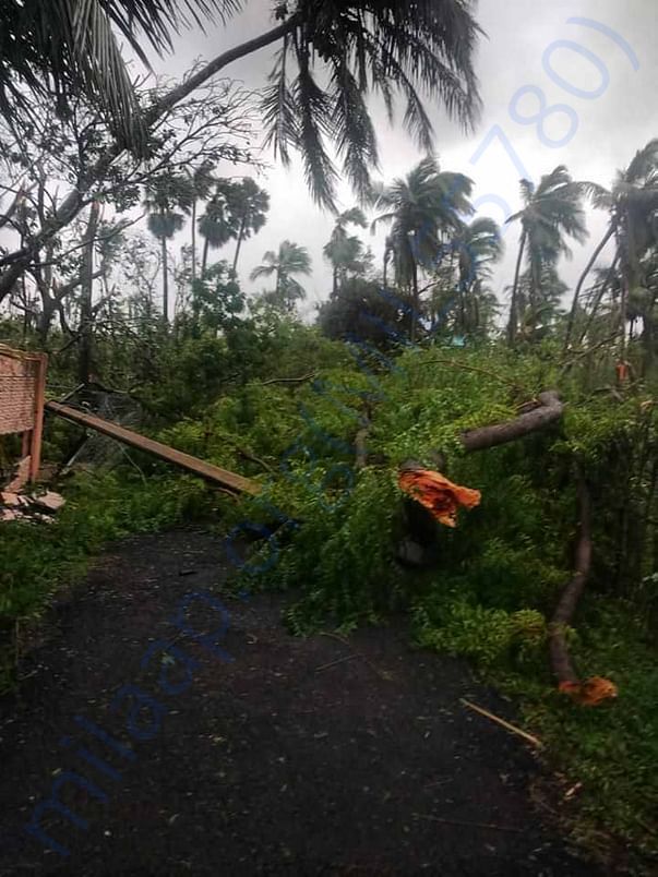 Cyclone Gaja impact in Naluvethpathy