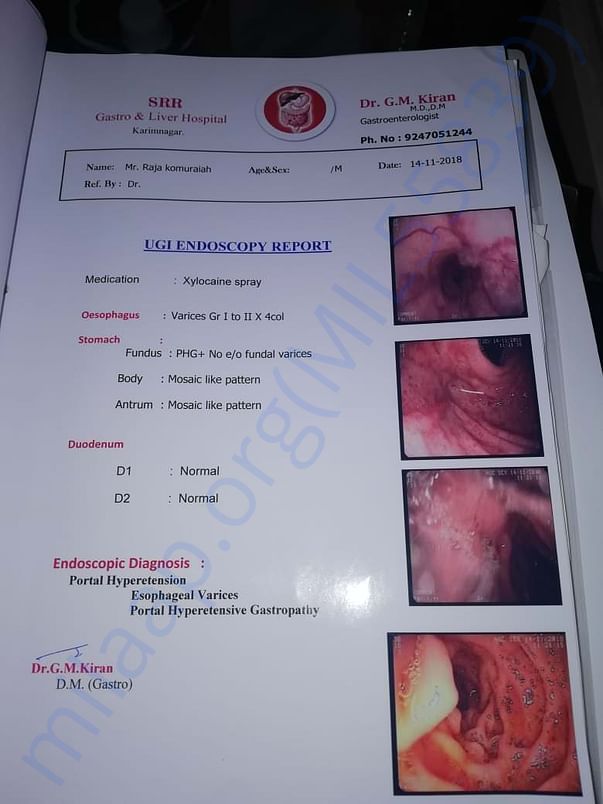 ENDOSCOPY REPORT