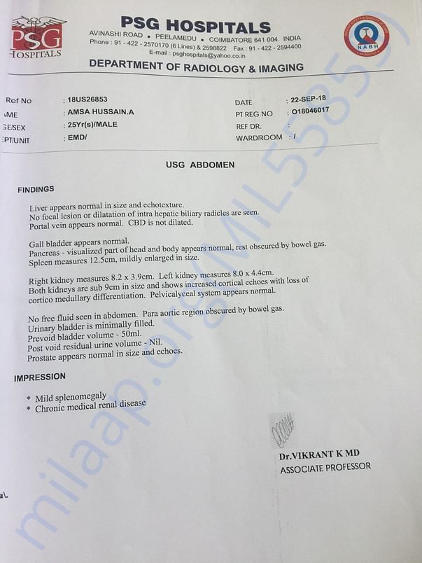 Abdomen scan report