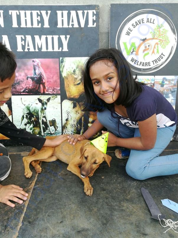 Adoption drive at WSA shelter