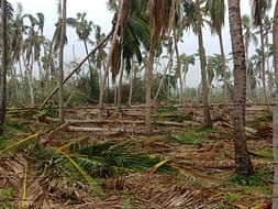 Save Delta| Cyclone Gaja Releif Campaign