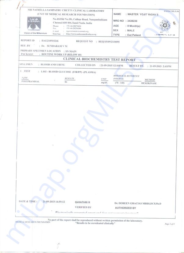 test report