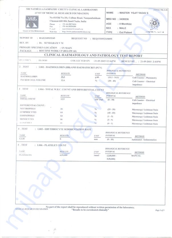 test report 2