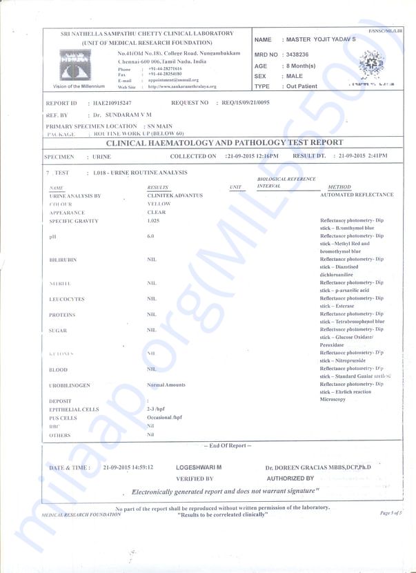 test report 4