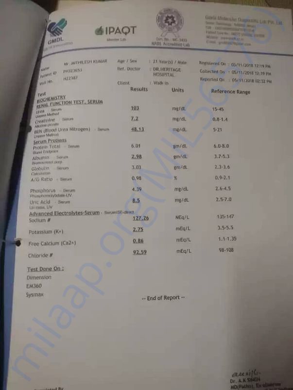 Renal Function Test