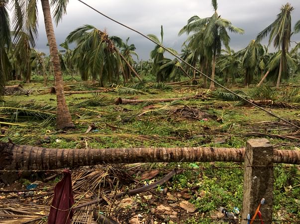 Help TamilNadu Farmers Recover from Cyclone