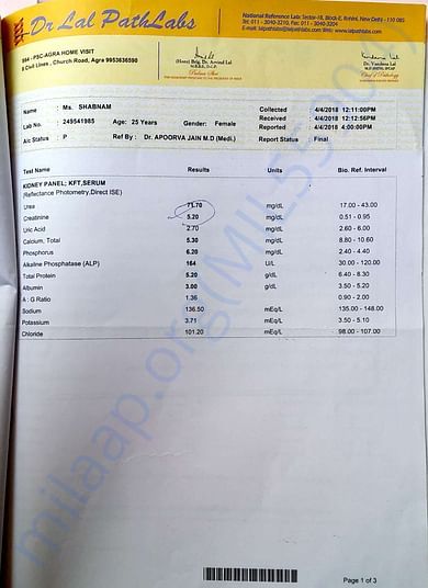 medical test report