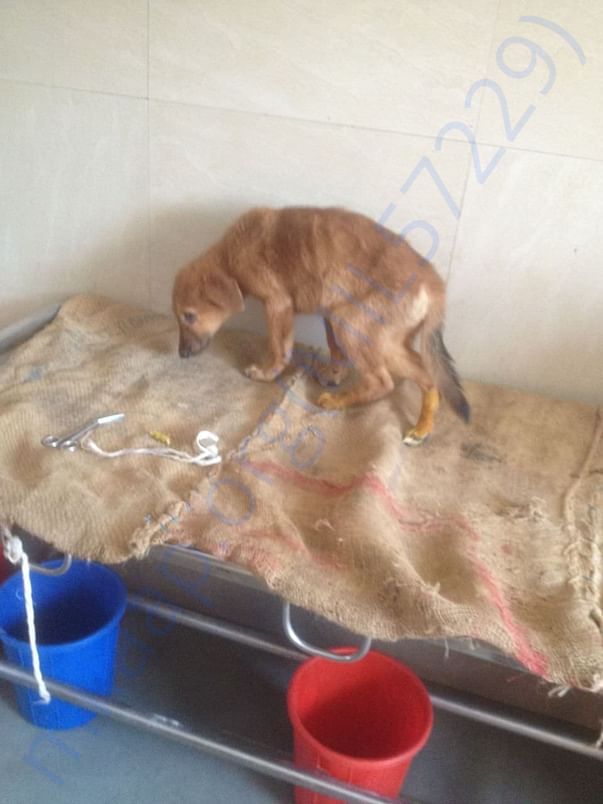 Lucky during treatment