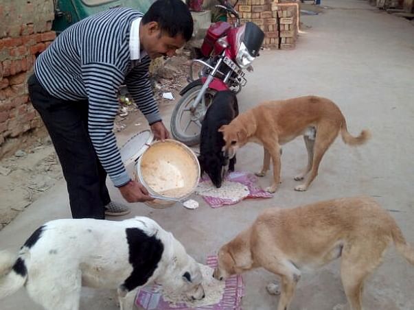 Do support 300+ dogs' medical needs & care by donating to us