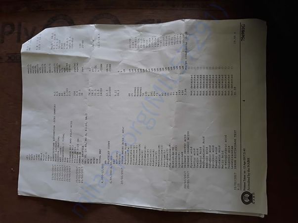 medical report