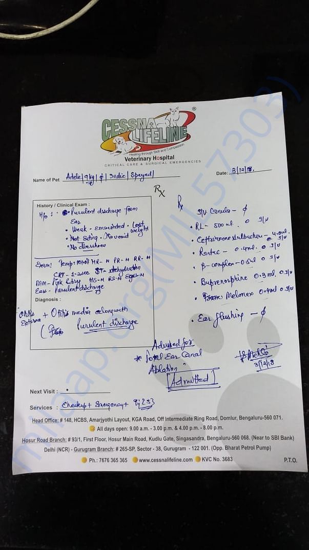 Cessna Vet Hospital Prescription