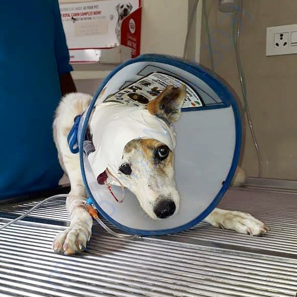 ADELE recovering post surgery at the hospital