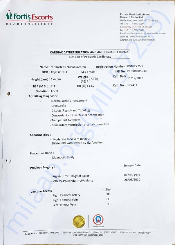 Cardiac Catheterization and Angiography Report