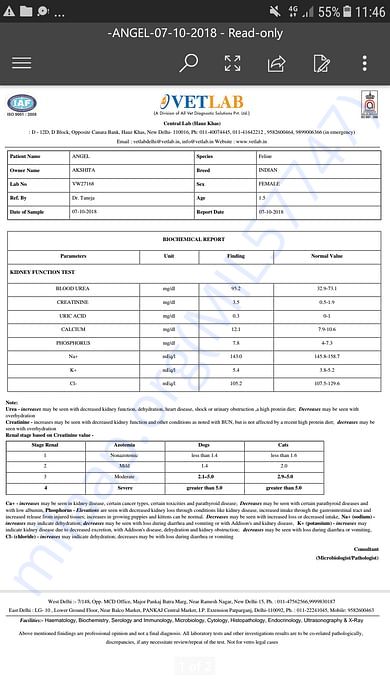 Angel's Blood Test Report - 07.10.18