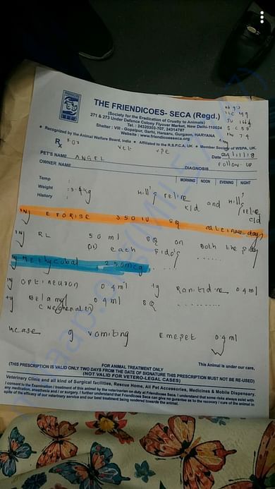 Angel's Prescription