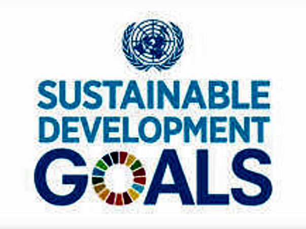 Support Us To Participate in Global Goals MUN