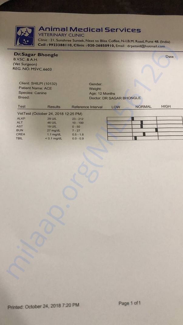 Ace medical record