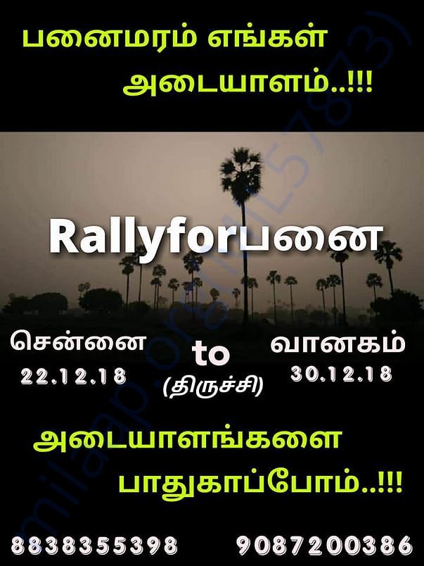 Rally for palm by bicycle