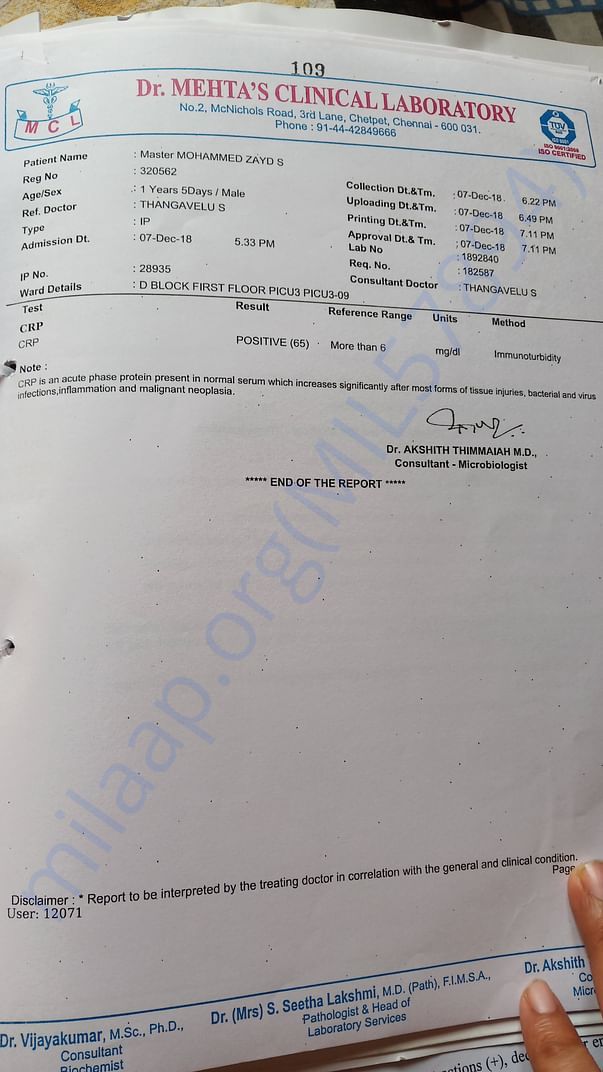Lab report
