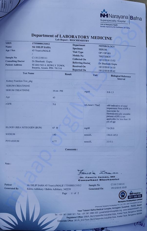 Kidney Creatinine test report