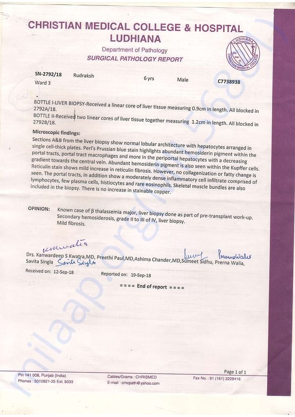 Hospitale Letter