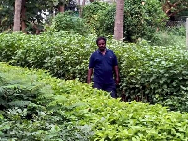 Help Saranalayam Charitable Trust Grow more Plants