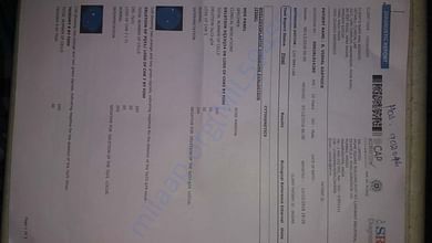 Report