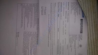 Report copy 5