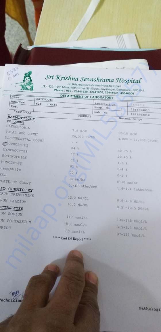Report 5