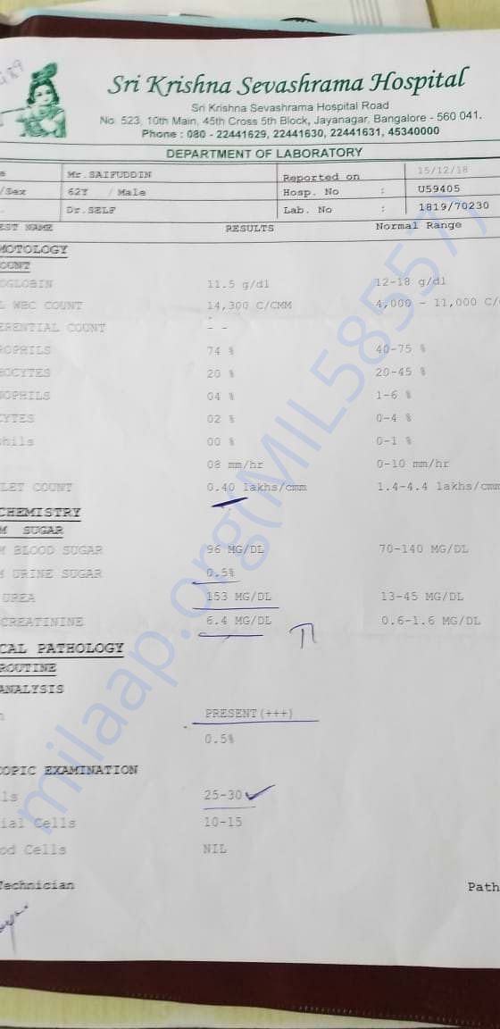 Report 6