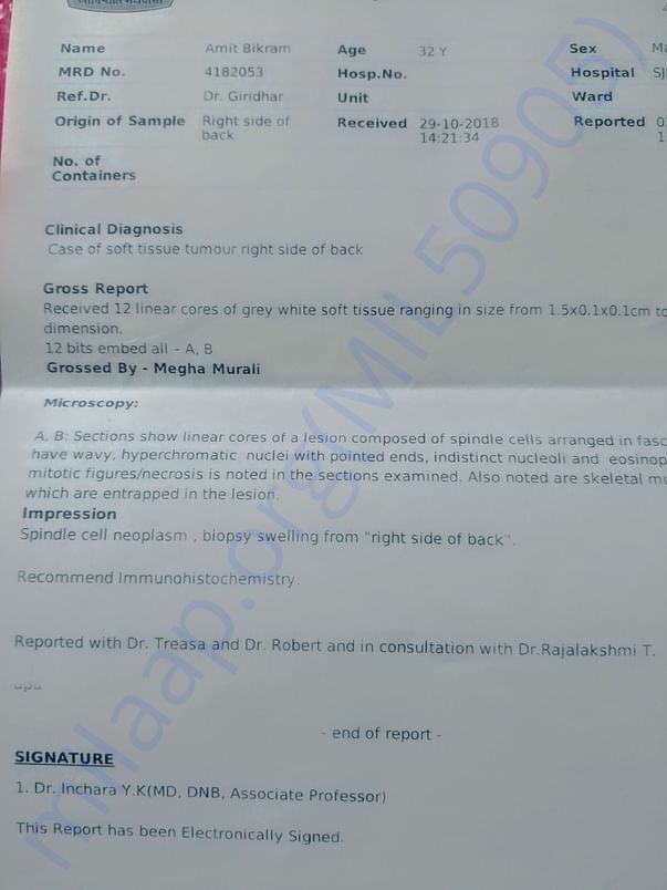 Biopsy Report