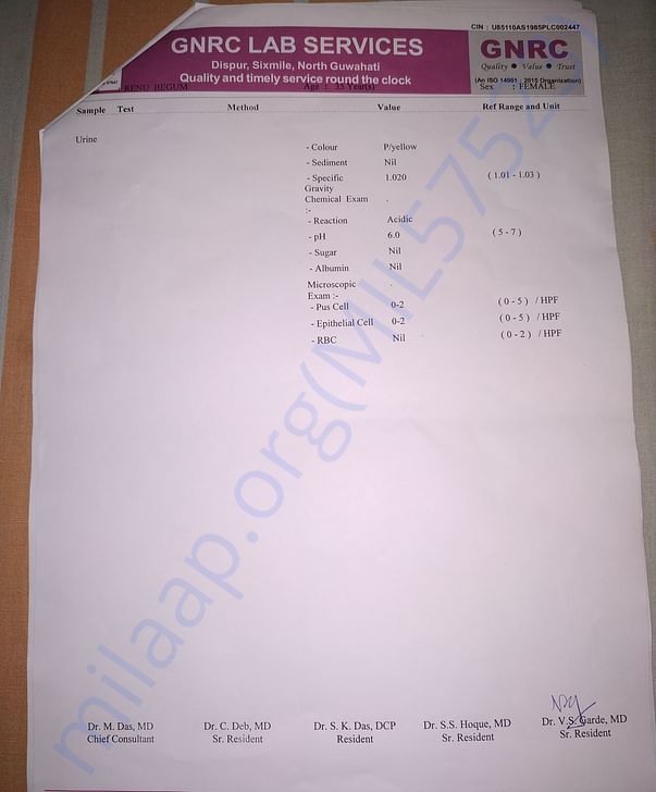 other reports